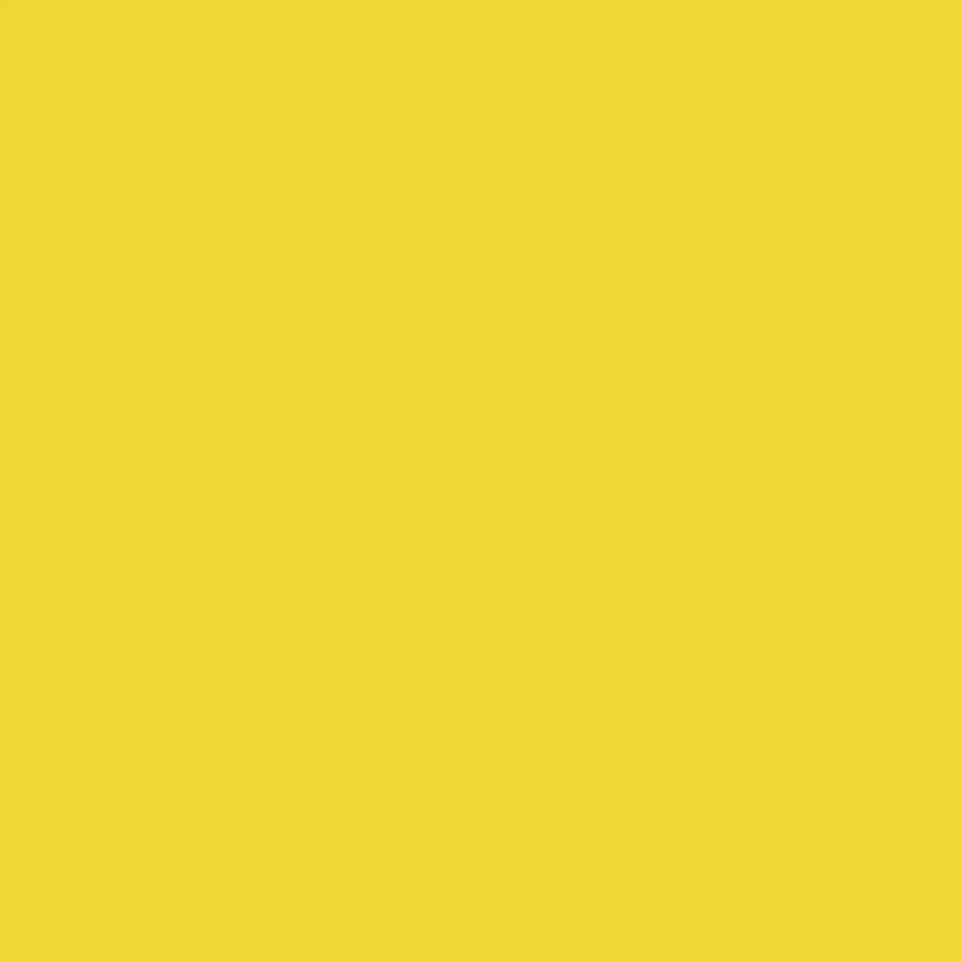 Фон бумажный Falcon Eyes BackDrop PRO 2.72x11 Forsythia Yellow (14)