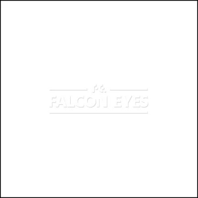 Фон 1-12 Widetone Super White Белый