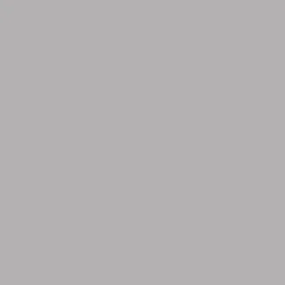 Фон бумажный Falcon Eyes BackDrop PRO 2.72x11 Pursuit Grey (21)