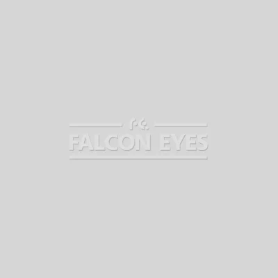 Фон 57-12 Widetone Gray Tint Серый