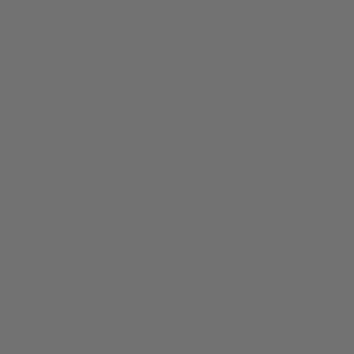 Фон бумажный Falcon Eyes BackDrop PRO 2.72x11 Neutral Grey (04)