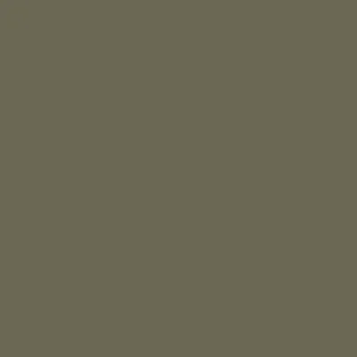 Фон бумажный Falcon Eyes BackDrop 2.72x10 хаки (10)