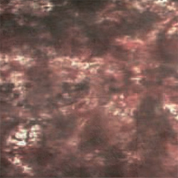 На фото изображено Фон BC-008 ВС-2770