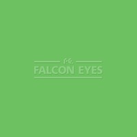 Фон бумажный Colortone 2.75*11m/Tech Green Зеленый BDSV-2.75-46 Фон бумажный Colortone 2.75*11m/Tech Green Зеленый BDSV-2.75-46