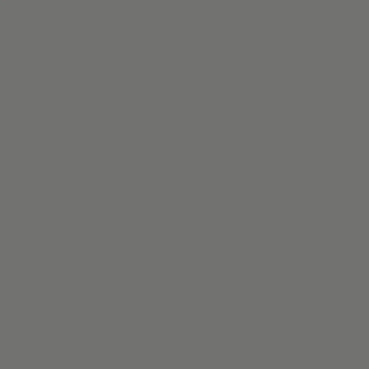 Фон бумажный Falcon Eyes BackDrop PRO 2.72x11 Neutral Grey (04)