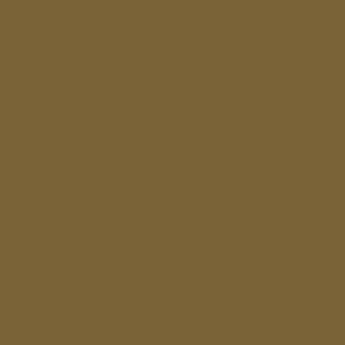 Фон бумажный Falcon Eyes BackDrop PRO 2.72x11 Coco Brown (20)
