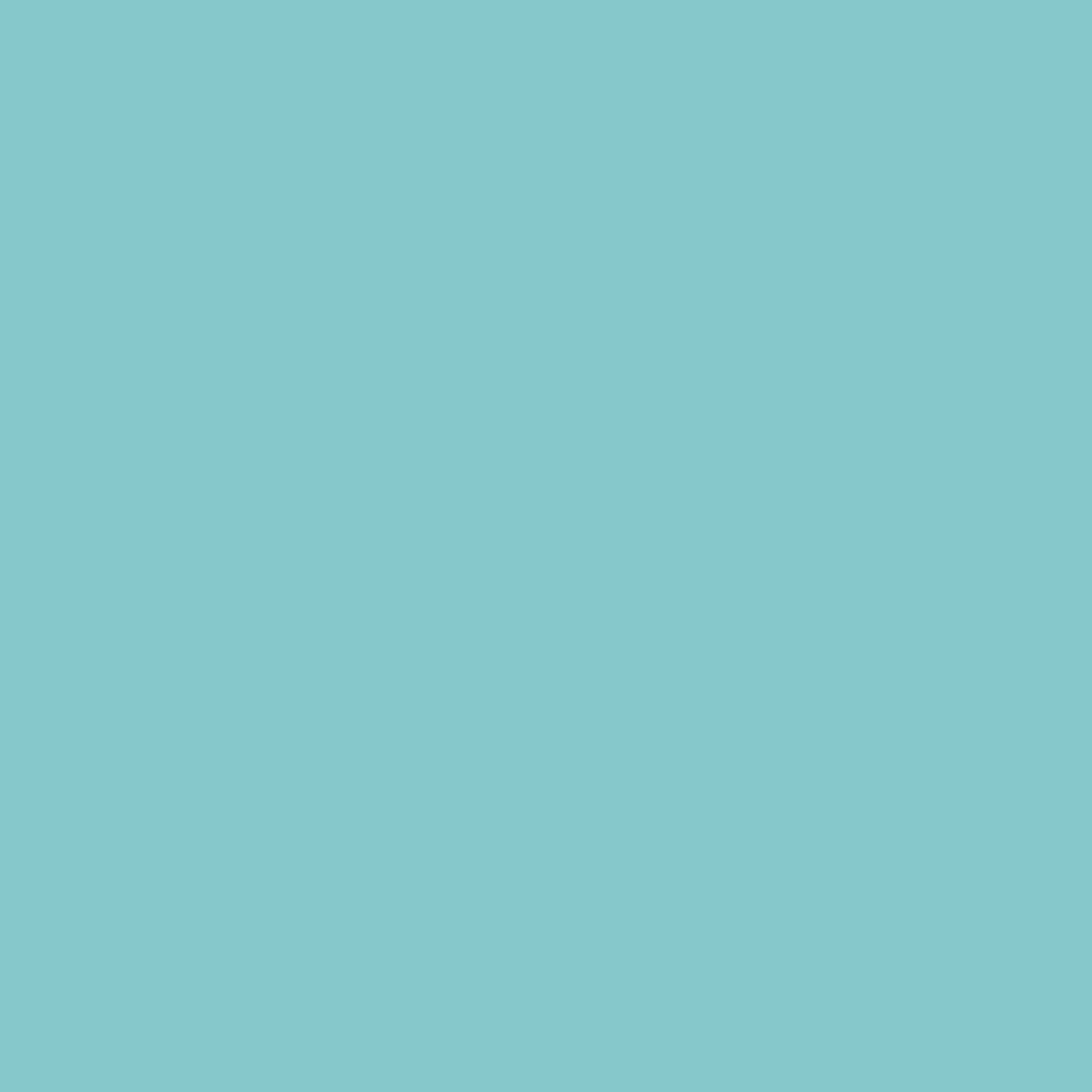 Фон бумажный Falcon Eyes BackDrop PRO 2.72x11 Alpine (55)